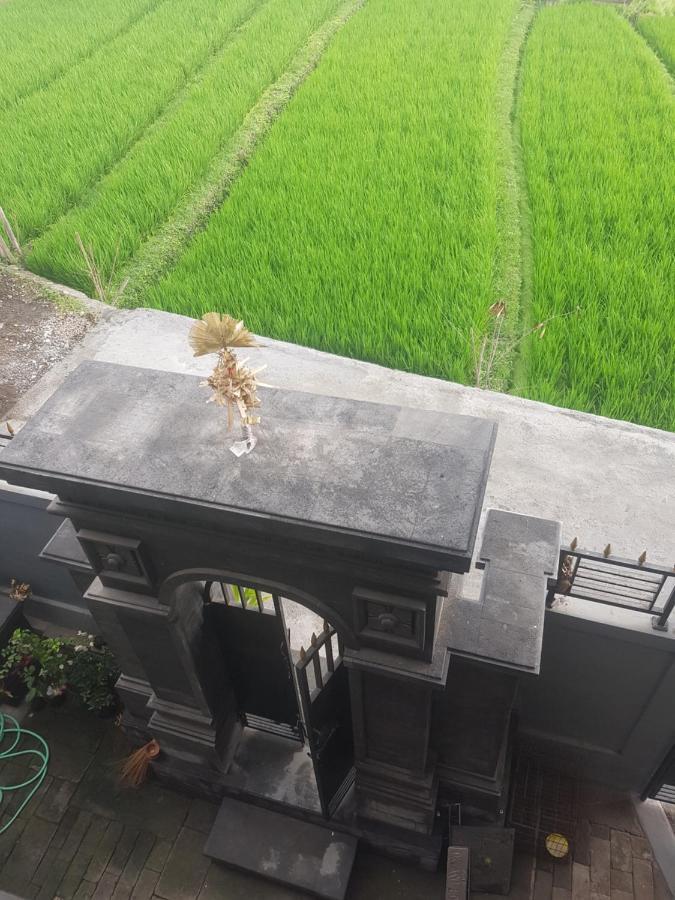 Yogi Homestay Canggu Exterior foto